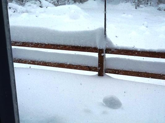 Typical snow
