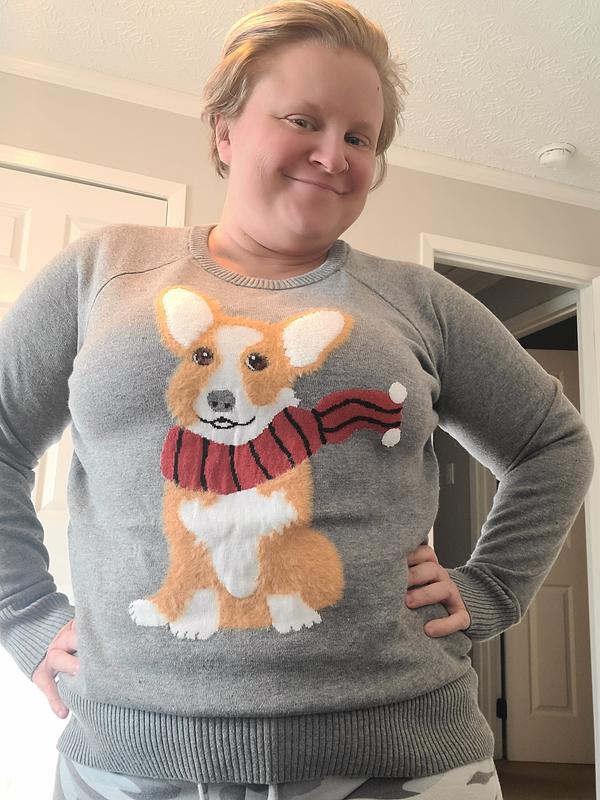 Plus Size - Cotton Pullover Raglan Sweater - Torrid