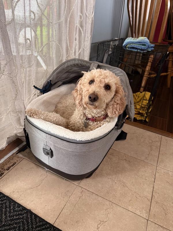 Customer photo for "Cozy!"