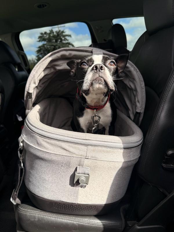Customer photo for "Cozy!"