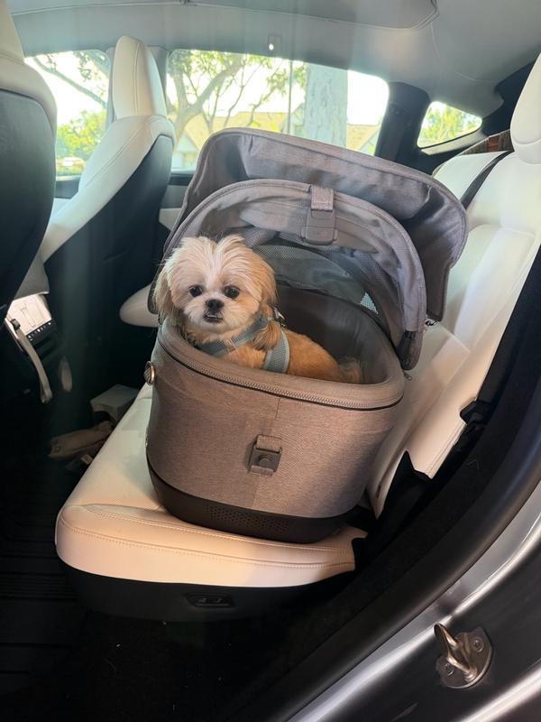 Customer photo for "Safest pet car seat available"
