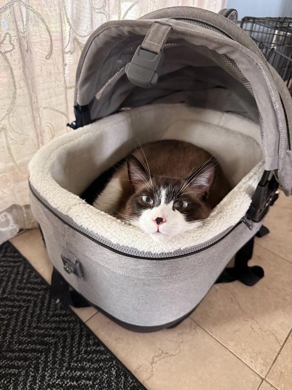 Customer photo for "Cozy!"
