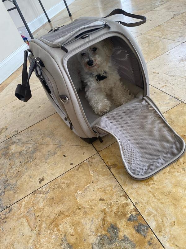 Review Thumbnail Image 0 383671340