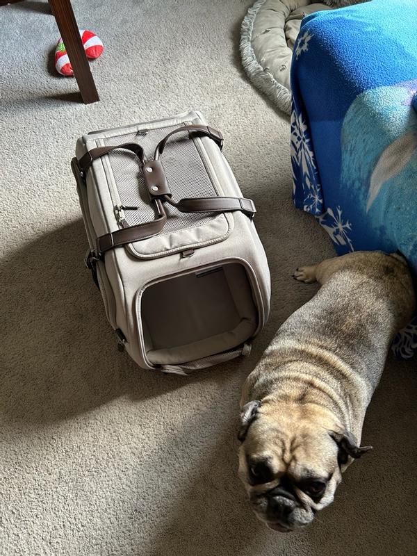 Review Thumbnail Image 0 384101550