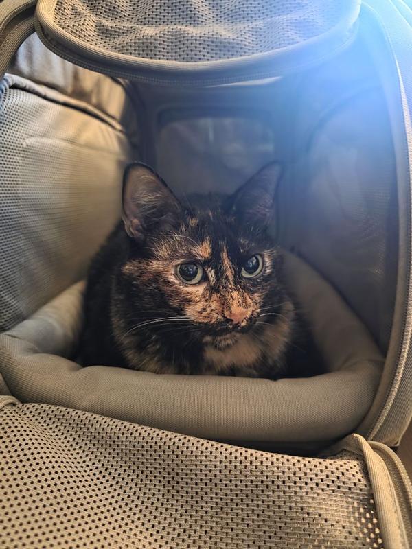 Review Thumbnail Image 0 383960726