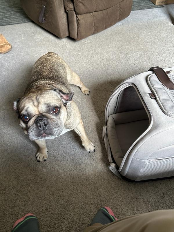 Review Thumbnail Image 1 384101550