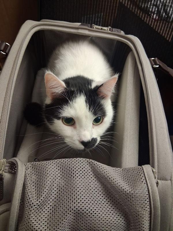 Review Thumbnail Image 1 384328152