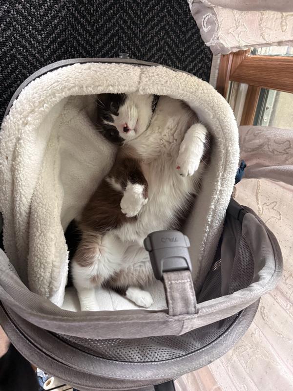 Customer photo for "Cozy!"