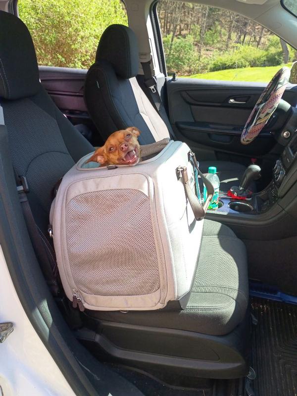 Review Thumbnail Image 0 384736567