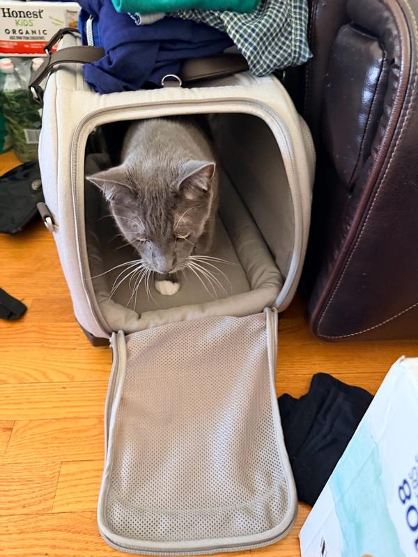 Review Thumbnail Image 2 384246116