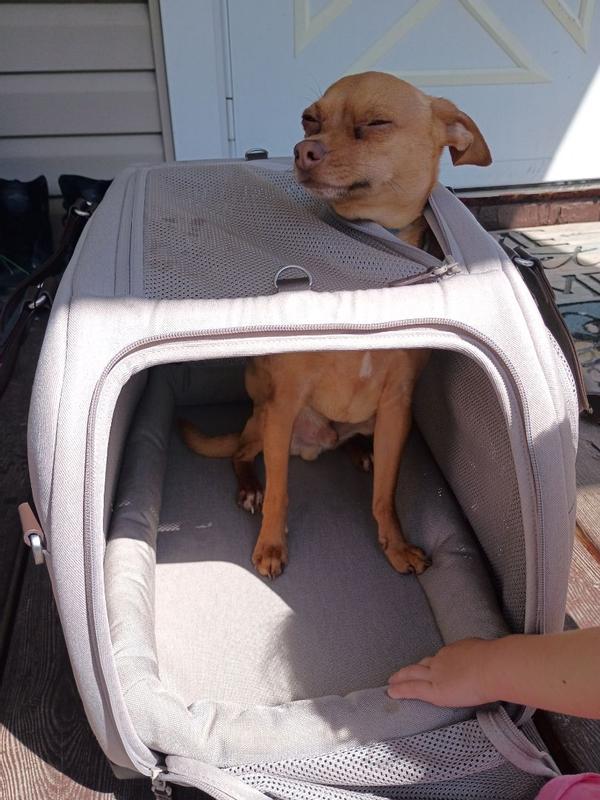 Review Thumbnail Image 4 384736567