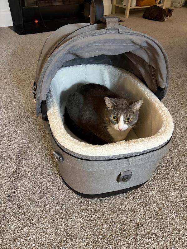 Customer photo for "The best pet travel system!"