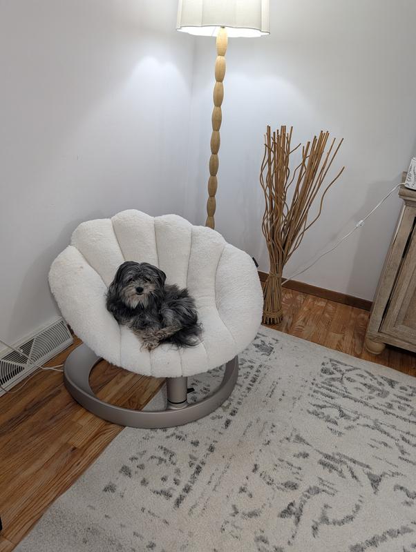 Customer photo for "Okay, but this dog bed 😍"