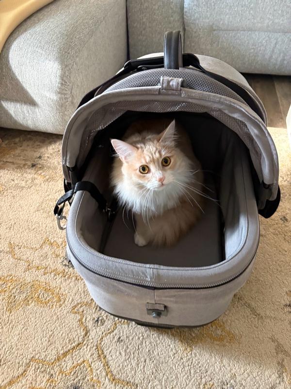 Customer photo for "Approved"