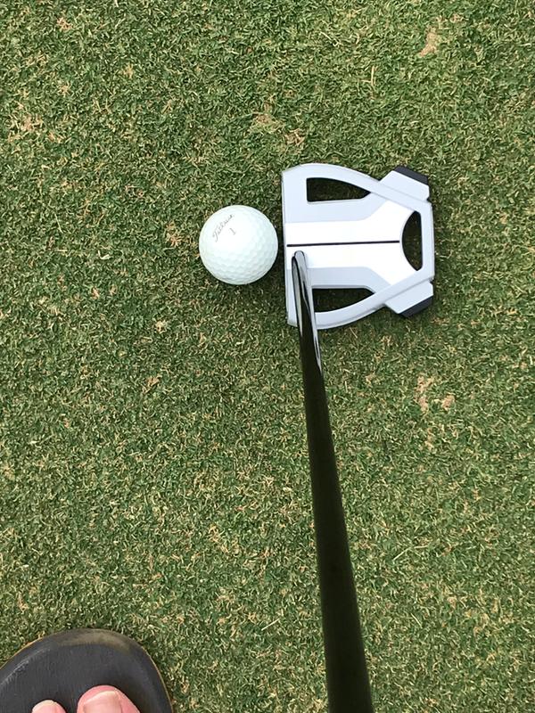 Spider X Chalk | TaylorMade