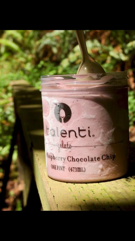 Talenti Gelato Coffee Chocolate Chip - 1 pint