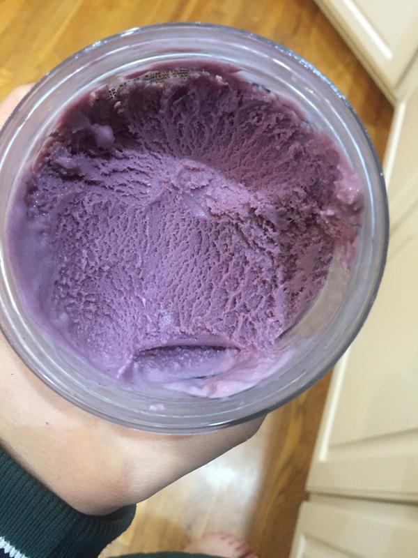 Talenti Gelato Black Raspberry Chocolate Chip 1 pint