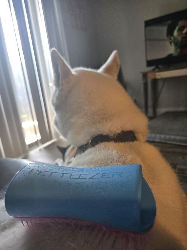 Review Thumbnail Image 0 1213004591