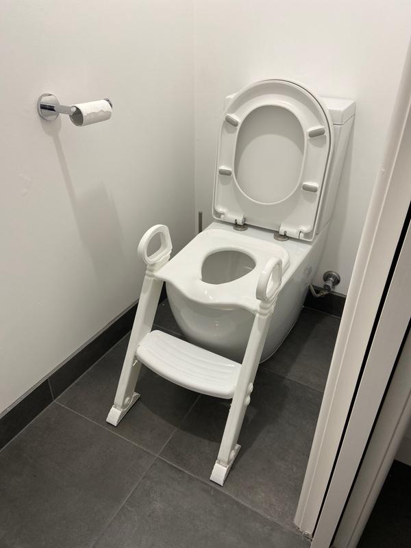 toilet sitter