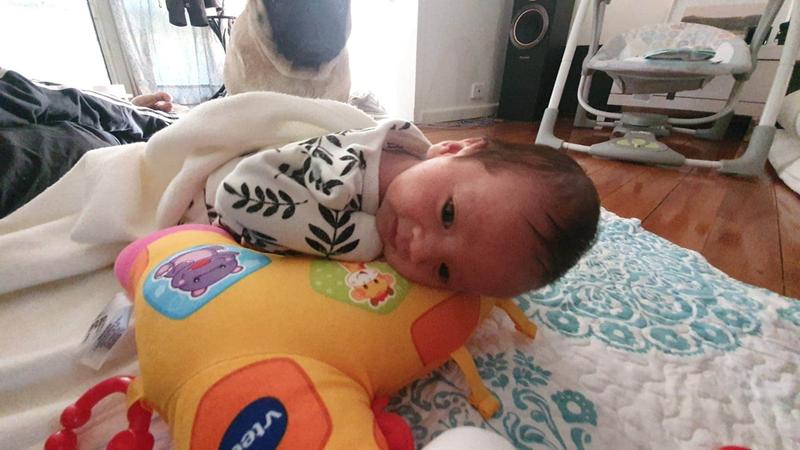 vtech tummy time discovery pillow