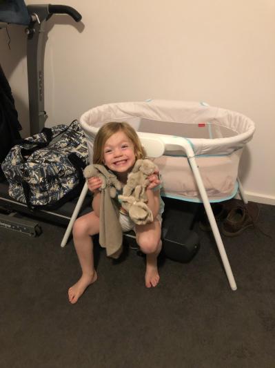 fisher price stow n go bassinet australia