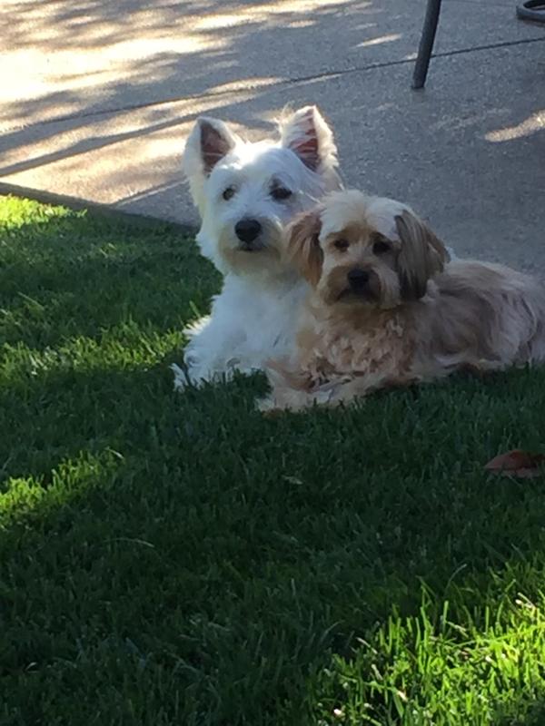 Our boys!