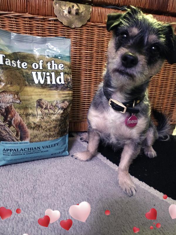 Taste of the clearance wild for small dogs