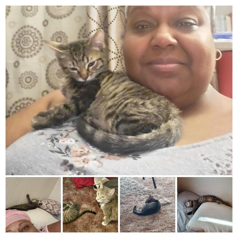 New tiny family member