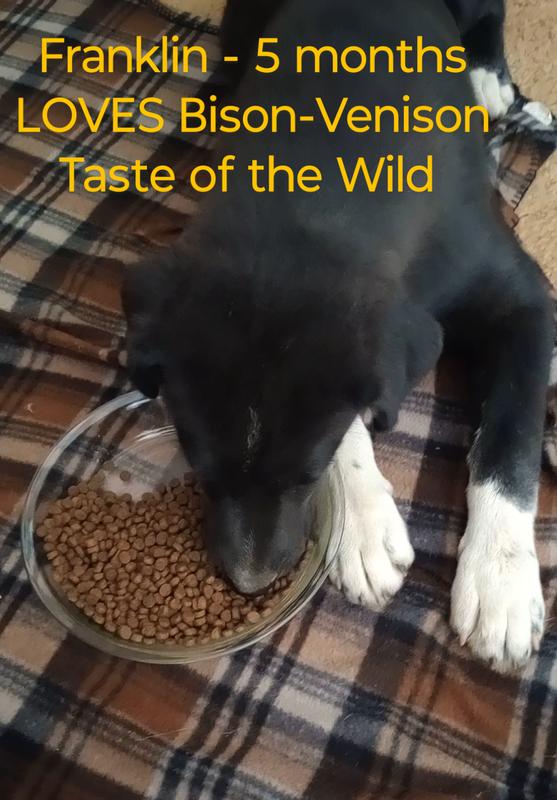 High Prairie Puppy Recipe with Roasted Bison Roasted Venison