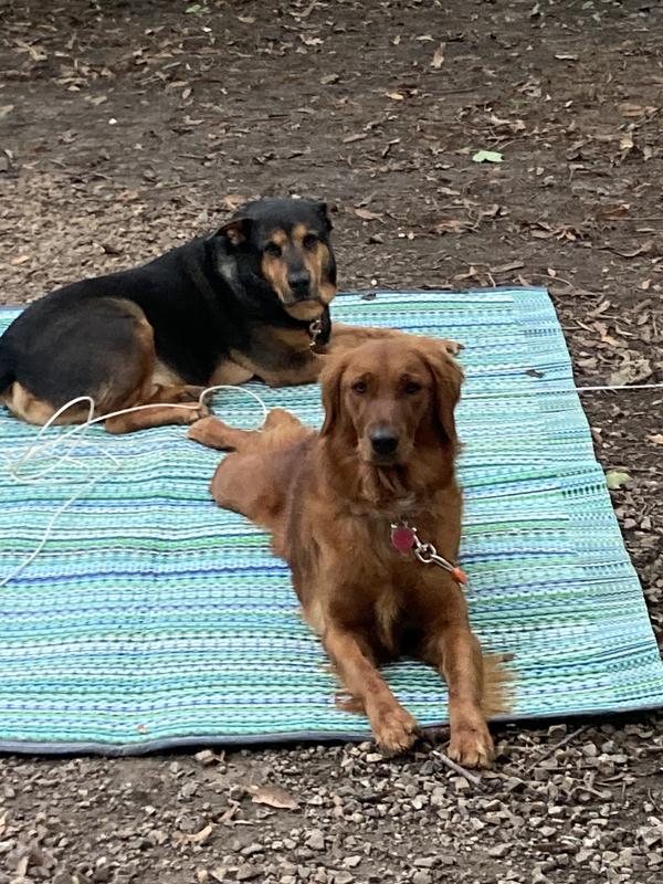 Love Camping!