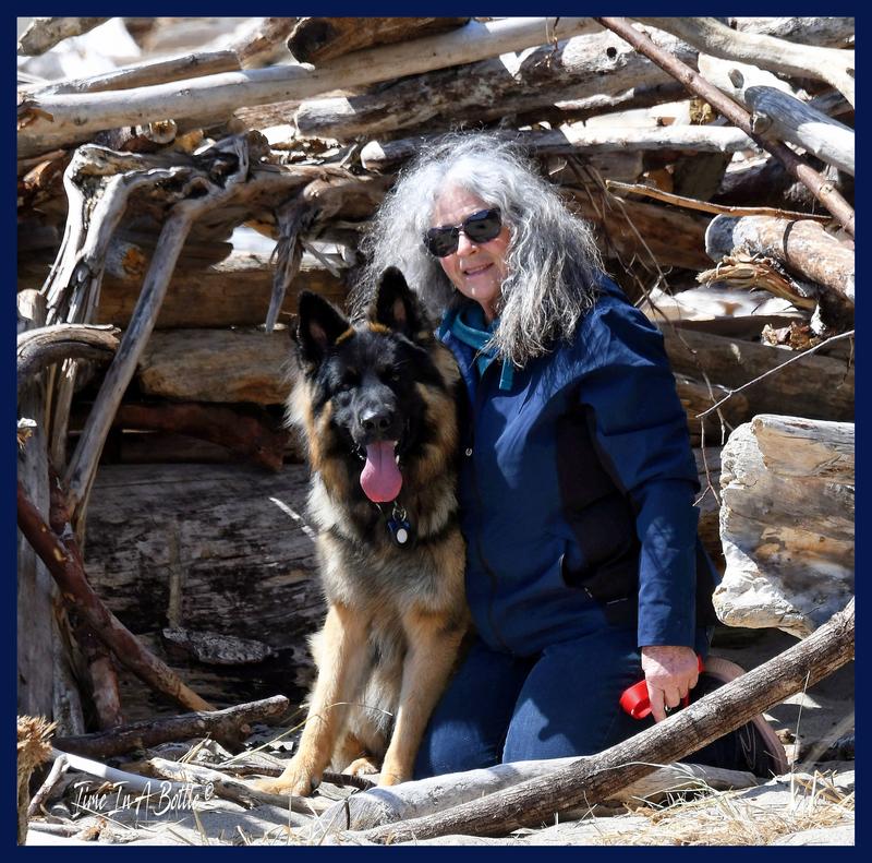 Taste Of The Wild Wetlands Dry Dog Food Petsense