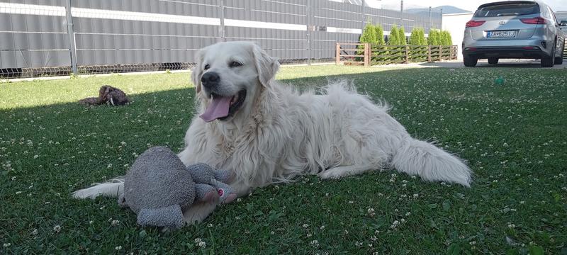 Max happy after eating