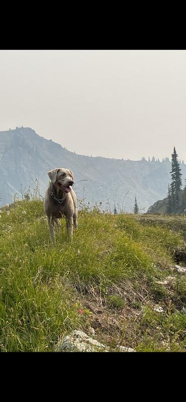 Enjoying the hiking views