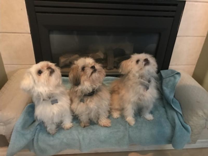 Mom and her boys