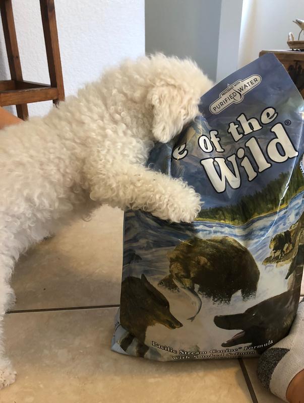 Pacific stream taste of the wild reviews sale