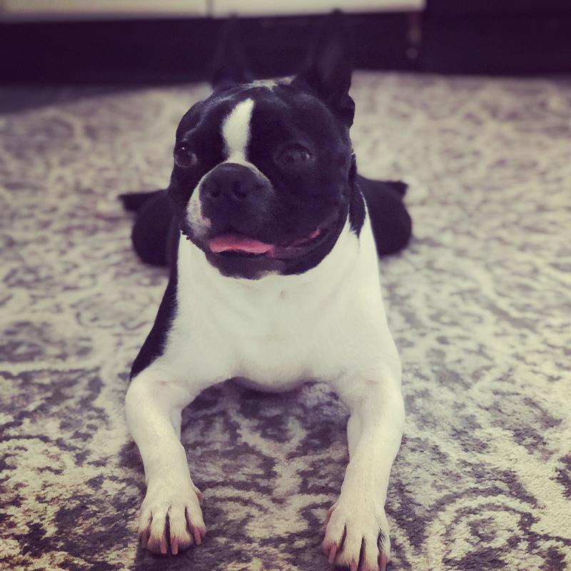 Axel from Long Island