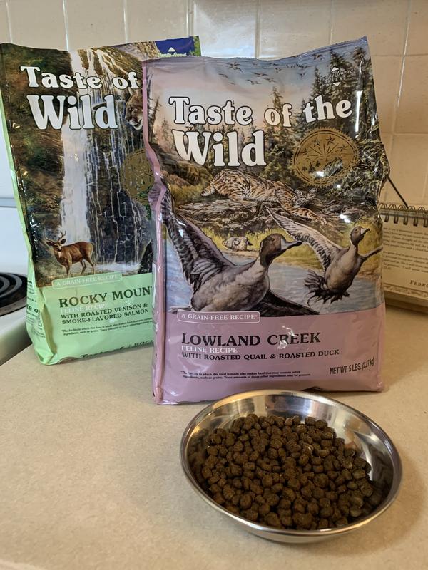 Siri, Sheba and Onyx