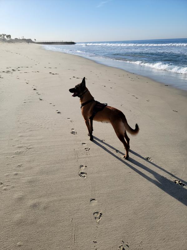 Adventures Away