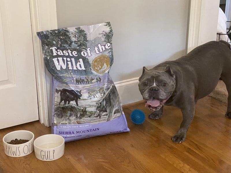 Taste of the Wild Sierra Mountain Grain-Free Roasted Lamb Dry Dog Food, 14 lbs.