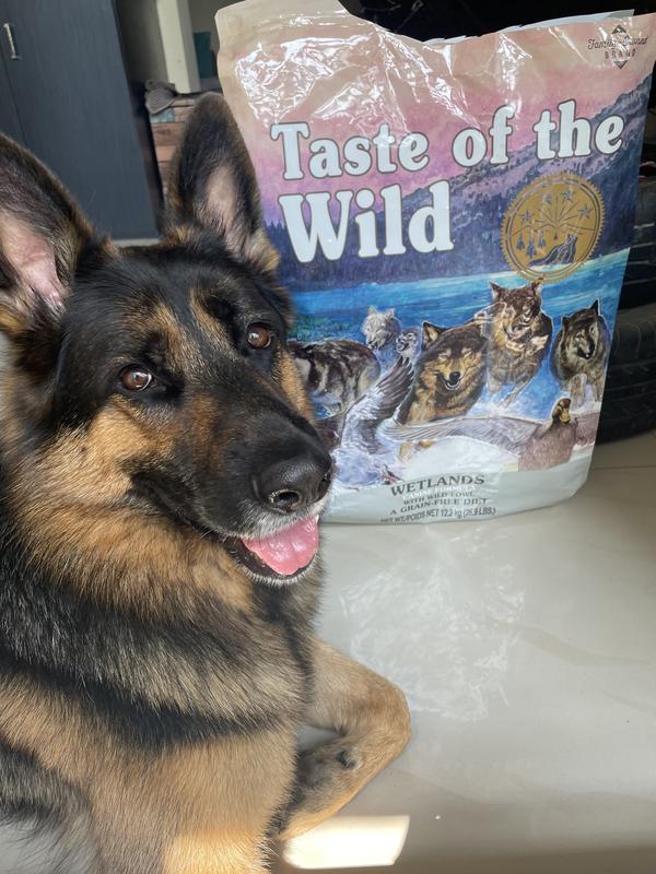 The wild wetlands dry dog outlet food