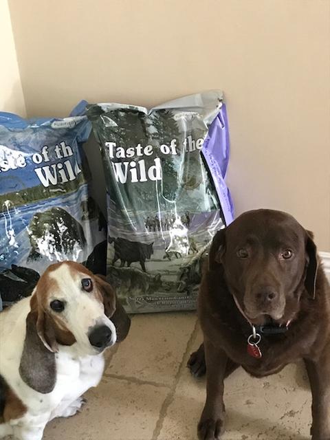 Taste of the Wild Sierra Mountain Canine, Cordero