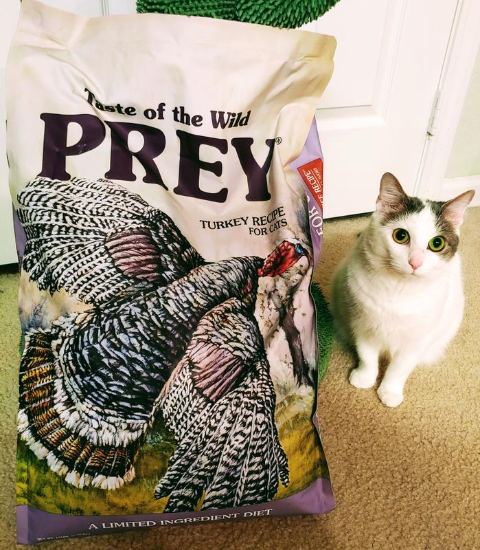 Prey turkey cat sales food