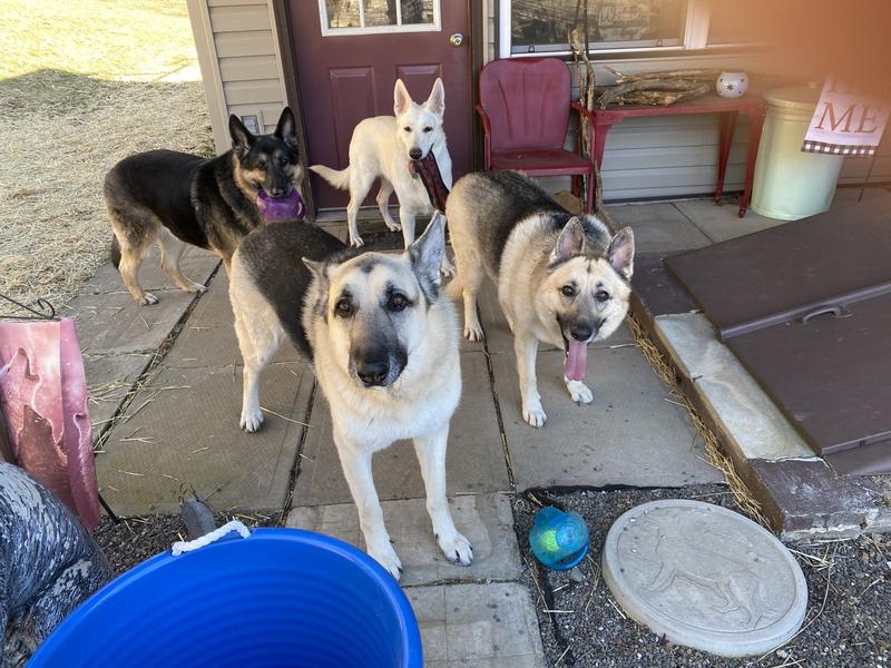 My 4 pack