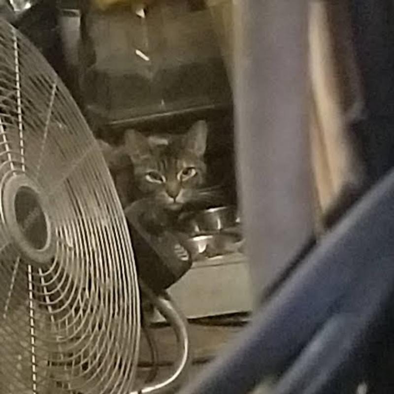 Ms. Fonzi