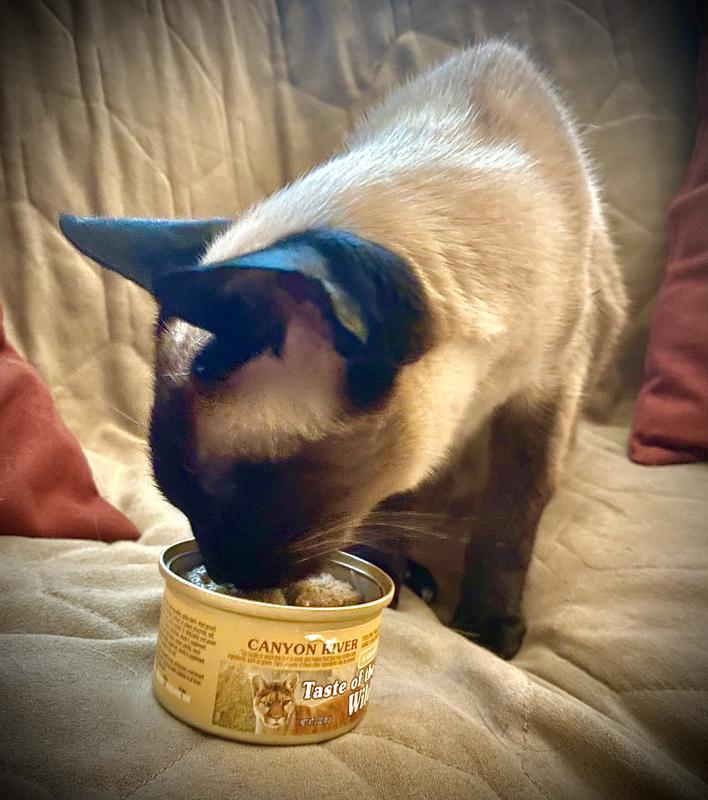 Nom nom!
