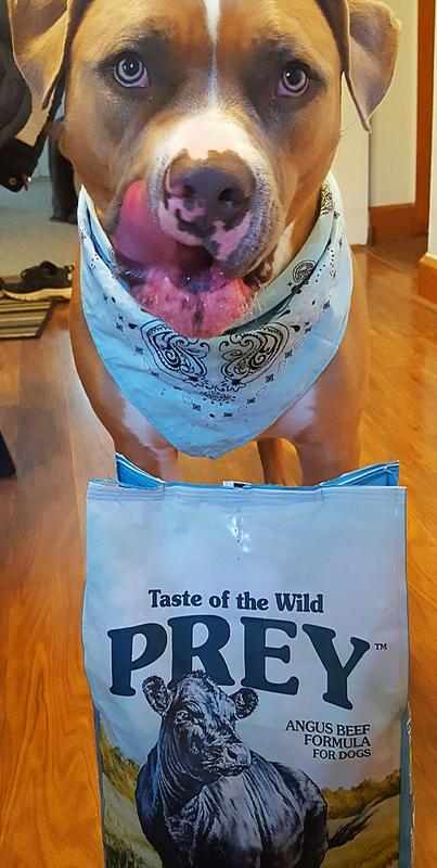 Taste of the wild outlet prey dog food reviews