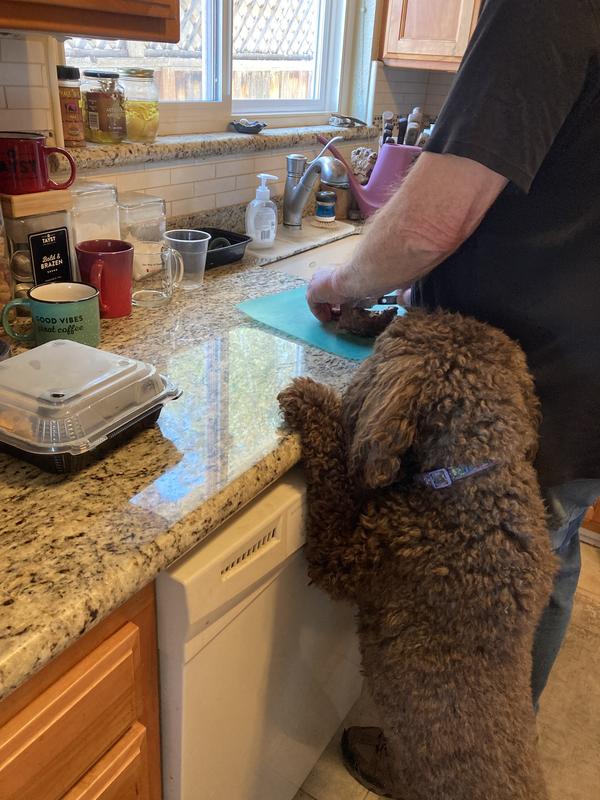 watching Dad get dinner ready