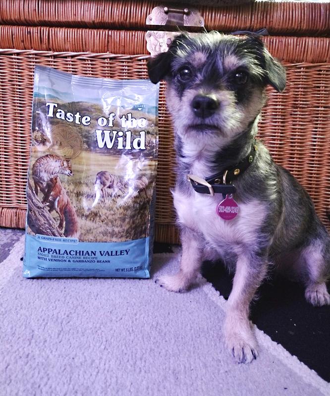 Taste of the wild small hot sale breed reviews