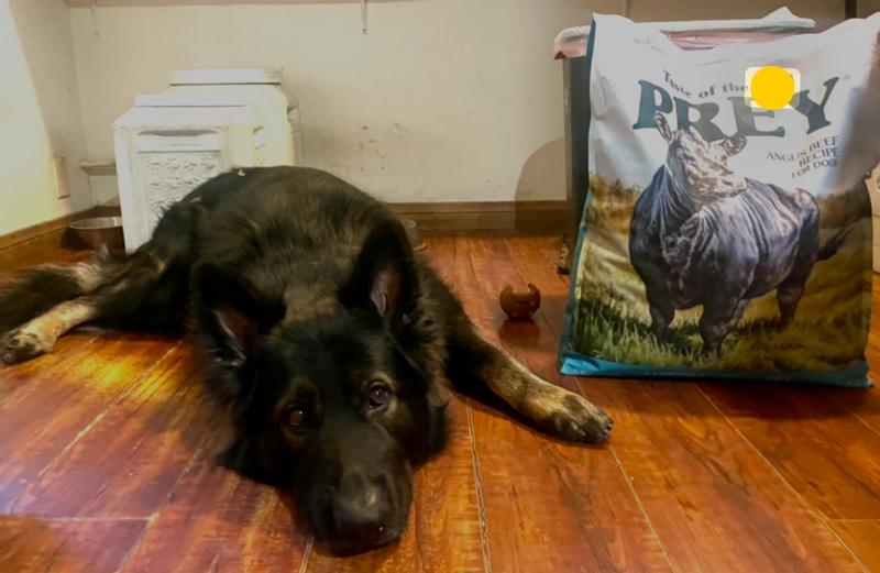 Taste of the Wild PREY Angus Beef Limited Ingredient Recipe Dry Dog Food, 25 lbs.