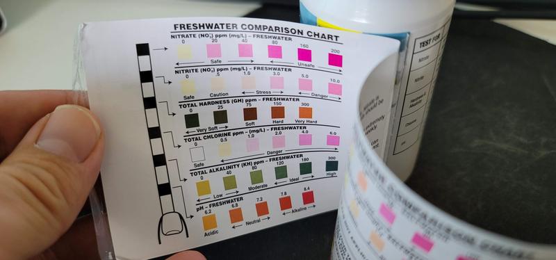 Tetra 6 in 1 outlet test strips 100 count